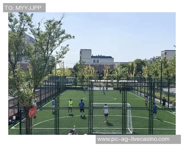 中国专用足球场建设现状与未来发展趋势分析及其对足球运动的影响 中国专用足球场建设现状与未来发展趋势分析及其对足球运动的影响